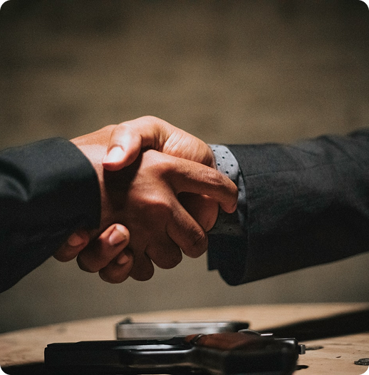 Professional handshake